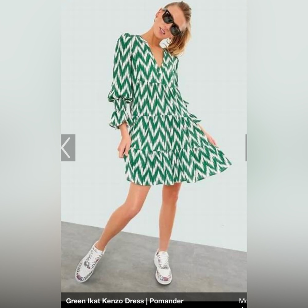NWOT Tuckernuck Kenzo Pomander Place dress, size XS